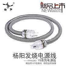 YYAUDIO 功放hifi音響電源線國標美標發燒級單晶銅CD機音箱連接線 歷史價格詳細信息