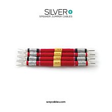 WAYCables POETRY+ 5N單晶銀  AES/EBU 數位線 優惠出清/歡迎來電洽詢 歷史價格詳細信息
