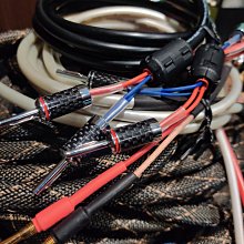 客製化 訂製 插色T恤 拼色T 插肩T恤 拼色 短袖 班服 情侶服 團體服 活動出遊 情侶衫 活動服 學生服 客製 燙印-滿599免運 歷史價格詳細信息