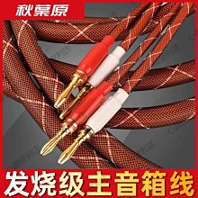 秋葉原喇叭線音箱線插頭帶線專用音響線純銅香蕉頭功放歐姆頭連接線4N純銅環繞主副音響連接線200芯 歷史價格詳細信息
