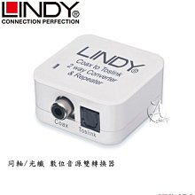 林先叄 小眾魔術貼德訓鞋女2023秋新款百搭學院風輕便運動休閒鞋 歷史價格詳細信息