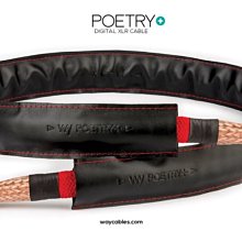 Poetry of the First World War【禮筑外文書店】(精裝) 歷史價格詳細信息