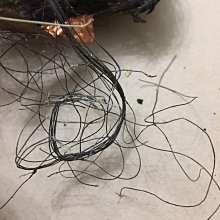 WhiteNoise愛樂人]美國製 Leviton 電源 插座 一個 （聲音比Hubbell好很多) 歷史價格詳細信息