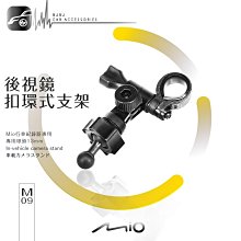 M09.幸運草(白花三葉草)種子 歷史價格詳細信息