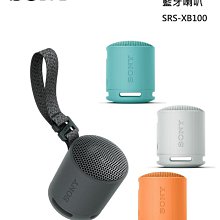 SONY 索尼 SRS-XB100 可攜式防水防塵 無線 藍芽喇叭 10入組(顏色隨機) 歷史價格詳細信息