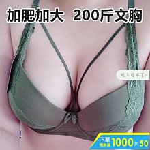 性感內衣薄款蕾絲大碼內衣小胸顯大聚攏防下垂文胸套裝胸罩 歷史價格詳細信息