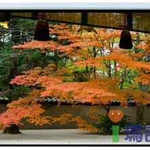 手拉式壁掛投影布幕 87.5吋 另有100吋 16:9  4:3 手拉布幕 下拉布幕 懸掛布幕 歷史價格詳細信息