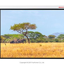 地拉幕布投影幕布 84寸100寸120寸家用辦公高清便攜式投影儀幕布戶外落移動地免打孔幕布 歷史價格詳細信息