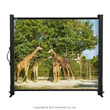 50吋 白塑 4:3 桌幕 投影布幕【福滿來】氣壓幕 可攜式布幕 便攜 移動式 投影 布幕 APGG 歷史價格詳細信息