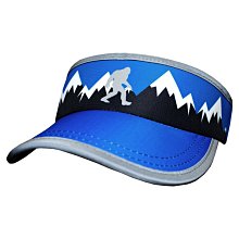 HEADSWEATS(汗淂)-男自行車衣(短袖).環保材質.Blue Stripes.本店名:騎跑泳者/FINISHER 歷史價格詳細信息