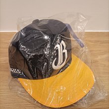 中信 兄弟 3D 立體 口罩 (2入) 棒球 中華職棒 歷史價格詳細信息