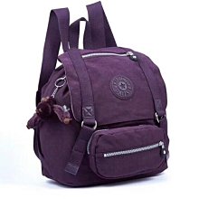 紫色-輕量後背包  AMINAH~【BODYSAC B652】 歷史價格詳細信息