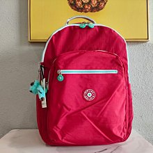 鑫凱峰和麵機商用靜音3/5/7/10公斤家用304不鏽鋼自動小型揉麵機 歷史價格詳細信息