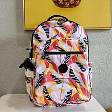 Kipling 猴子包 K13564 紅拼色 輕量 輕便 簡約收納包 化妝包 筆袋 多夾層 防水 限量 限時優惠 歷史價格詳細信息