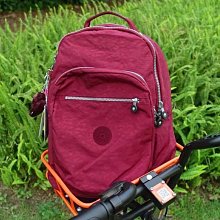 【輕量款-酒紅】10骨 超大傘面自動傘 一鍵自動開收傘 摺疊傘 雨傘 折傘 歷史價格詳細信息