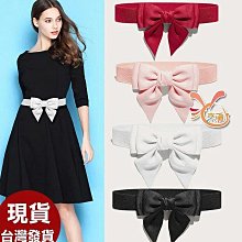 .°。.☆小婷來福＊.。°.k1381拉鍊領帶49CM窄版領帶，售99元 歷史價格詳細信息