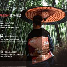 東芝雙門冰箱 歷史價格詳細信息