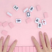 迷你麻將牌旅行宿舍便攜式可愛MINI網紅寢室手搓小麻雀戶外家用 歷史價格詳細信息