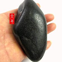 原點 第二彈！微距攝影の野草之花圖鑑：野花草微觀解剖書！更多的香草、食用藥用植物大集合 大作晃一 繁體中文 全新 歷史價格詳細信息