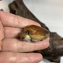 廣潤新款房車游艇公寓家用亞克力ABS洗手盆GR-Y004 歷史價格詳細信息