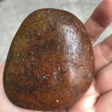 紅皮原籽金剛菩提手串男士剛菩提子佛珠手鏈女念珠七八瓣 歷史價格詳細信息