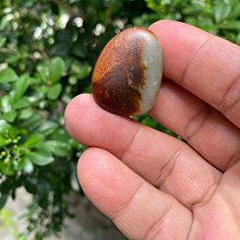 紅皮原籽金剛菩提手串男士剛菩提子佛珠手鏈女念珠七八瓣 歷史價格詳細信息