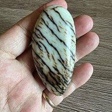 明.清 【白玉珮飾】方 歷史價格詳細信息