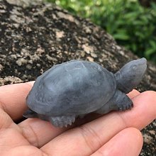 新疆和田玉龍龜小吊墜男女款銅錢龍頭龜掛件項鏈瑞獸白玉佩墜批發 歷史價格詳細信息