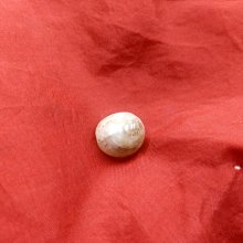 （十週年慶特惠）Coach 蔻馳 38160 花卉印花防刮牛皮女士波士頓包 斜背包 手提包 附代購憑證 歷史價格詳細信息