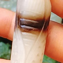 和田玉糖料貔貅一個。268非偏遠，喜歡的直接拍吧。6422 歷史價格詳細信息