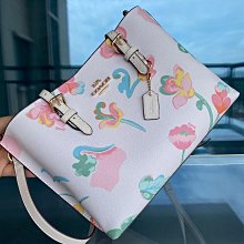 COACH MOLLIE 25素面防刮皮革手提/斜背兩用包(糖粉) 歷史價格詳細信息