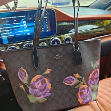 COACH蔻馳新款KLARE翻蓋鏈條女包單肩斜跨包91019蛇紋配皮尺寸21X16X7 歷史價格詳細信息