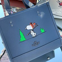 NaNa Outlets代購 Coach CA192 帆布拼牛皮女士酒神包 鏈條包 腋下包 斜背包 單肩包 附購證 歷史價格詳細信息