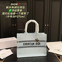 2024新款帆布飯盒包輕奢法式慵懶風時尚百搭單肩手提包女包 19.12cm 配盒精品代購 歷史價格詳細信息