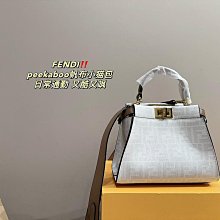 2024新款帆布飯盒包輕奢法式慵懶風時尚百搭單肩手提包女包 19.12cm 配盒精品代購 歷史價格詳細信息