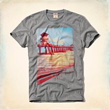 Maple麋鹿小舖 Hollister Co ＊ HCO 淺灰色海鷗POLO衫 ＊( 現貨L號 ) 歷史價格詳細信息