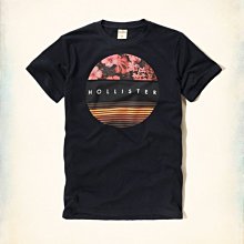 Hollister Logo Tee 酒紅 黑白 深藍 雪花灰 雪花藍 刺繡 基本款 素Tee 男款 海鷗 DOT聚點 歷史價格詳細信息