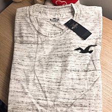 HCO Hollister 海鷗 短袖 T恤 現貨 貼布刺繡logo 暗紅/白/藍 歷史價格詳細信息