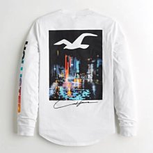 HCO Hollister 海鷗 現貨 彈性 POLO 衫 藍色+白色+黑色 歷史價格詳細信息