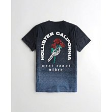 Hollister co. (HCO)灰藍色 運動短褲/ 美國帶回 / 全新真品 / 現貨在台 / 男生S號 歷史價格詳細信息