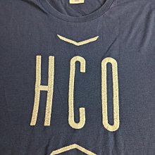 Hollister (HCO) Cali 衝浪風工作短褲 歷史價格詳細信息