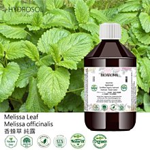 【純露工坊】保濕舒緩亮白緊實控油 普羅高山薰衣草有機花水純露Lavender Population 1000ml 歷史價格詳細信息