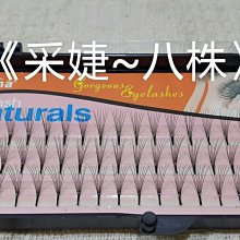 種植嫁接假睫毛8-10-12-14MM 0.15-2.0-C-J 型一盒12排植睫毛 假睫毛 種睫毛 嫁接睫毛批發 歷史價格詳細信息