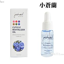 批發小果汀B165垂釣掛鉤吊籃花盆全新料懸掛式綠蘿專用室內花盆 歷史價格詳細信息