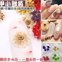 乾燥花水晶吊飾/Erisky Mu品牌特賣/ 歷史價格詳細信息