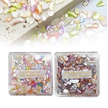 幻彩貝殼石°×菲玩美甲°╭☆Ga美甲貝殼片 貝殼碎片 美甲石頭貝殼粉 光療指甲油膠 水晶指甲裝飾點綴 美甲飾品 光療材料 歷史價格詳細信息