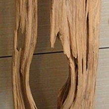 123木頭人 (二手) 小小說│千行│自藏書.明日│大北投二手書店 歷史價格詳細信息