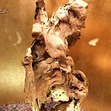 龍祥台球出桿練習器黑八斯諾克基本功訓練器材檢測運桿調節主視眼 歷史價格詳細信息