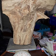 臺灣紅藜：城市農夫的紅藜故事、栽種技法與料理手帖【金石堂】 歷史價格詳細信息