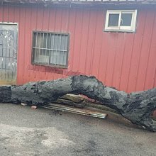 木以載生 : 國產木作工藝特展 許峰旗 國立臺灣工藝研究發展中心 國產材政策 串聯木材跟人類文化 生態與經濟 科學與教育 歷史價格詳細信息